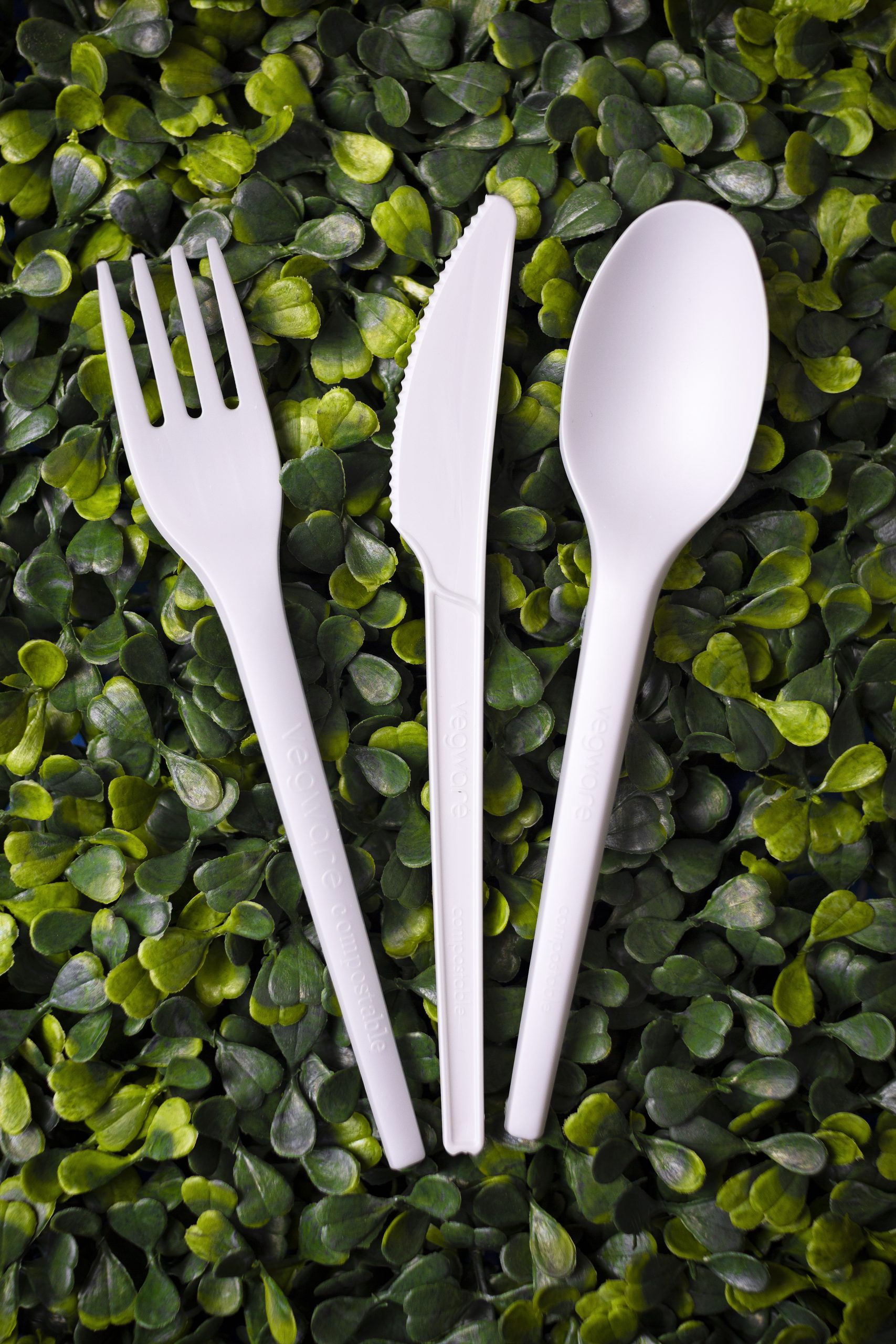 Compostable CPLA Cutlery